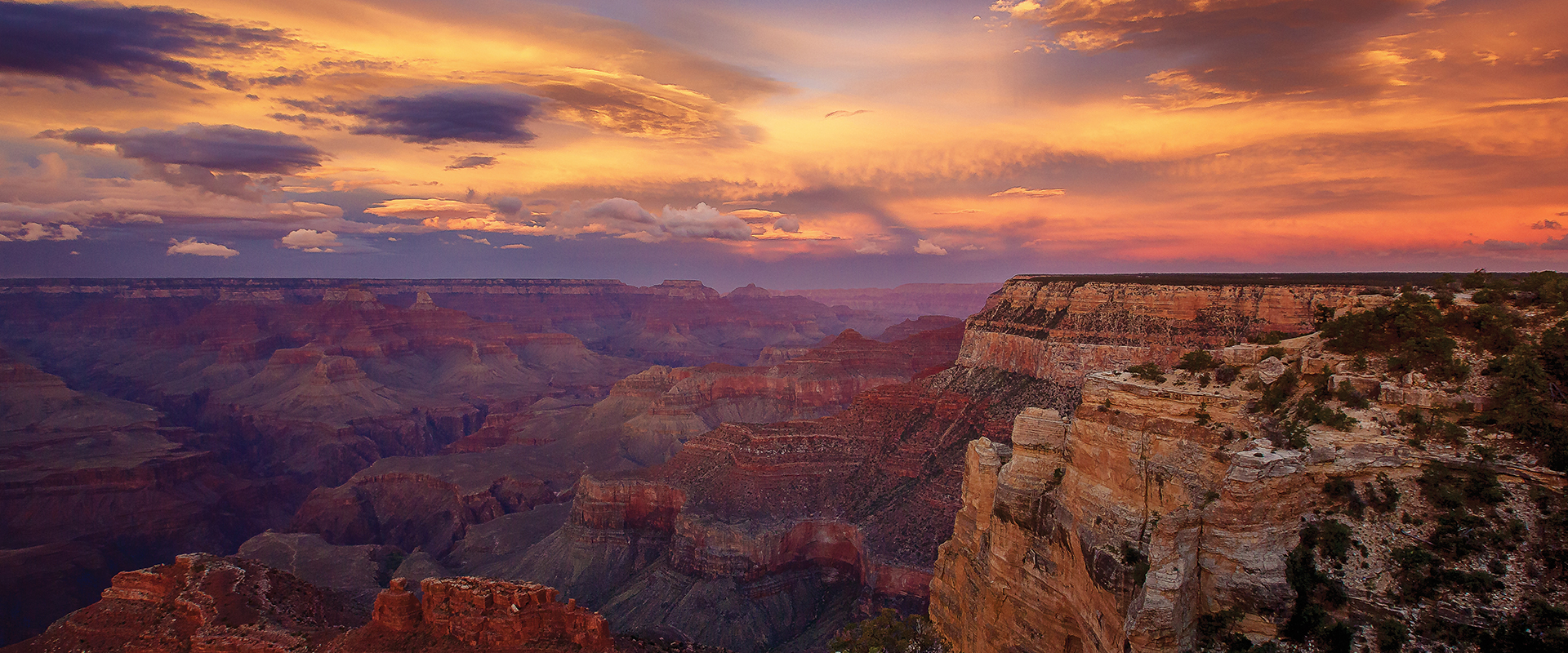 Western and horse-themed merchandise
