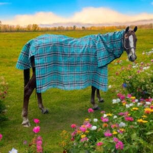 Horse Rugs and Accessories