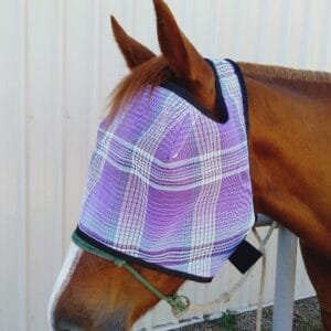 Fly Masks
